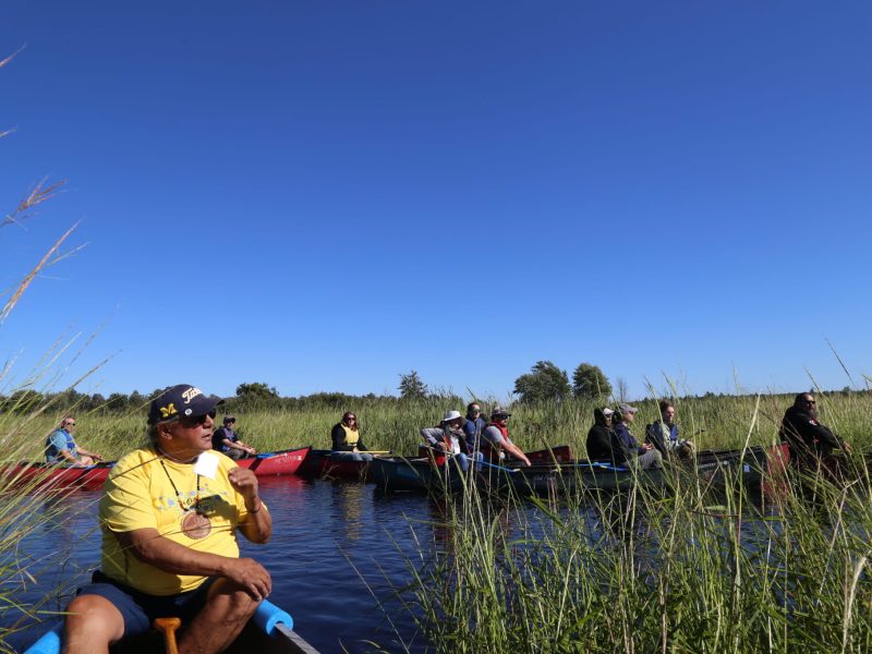 Manoomin Stewardship Plan workshop participants in wild rice beds. Image: Department of Environment, Great Lakes and Energy