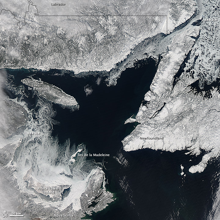 Sea ice forming in the Gulf of St. Lawrence as it reaches its annual maximum growth. NASA photo.