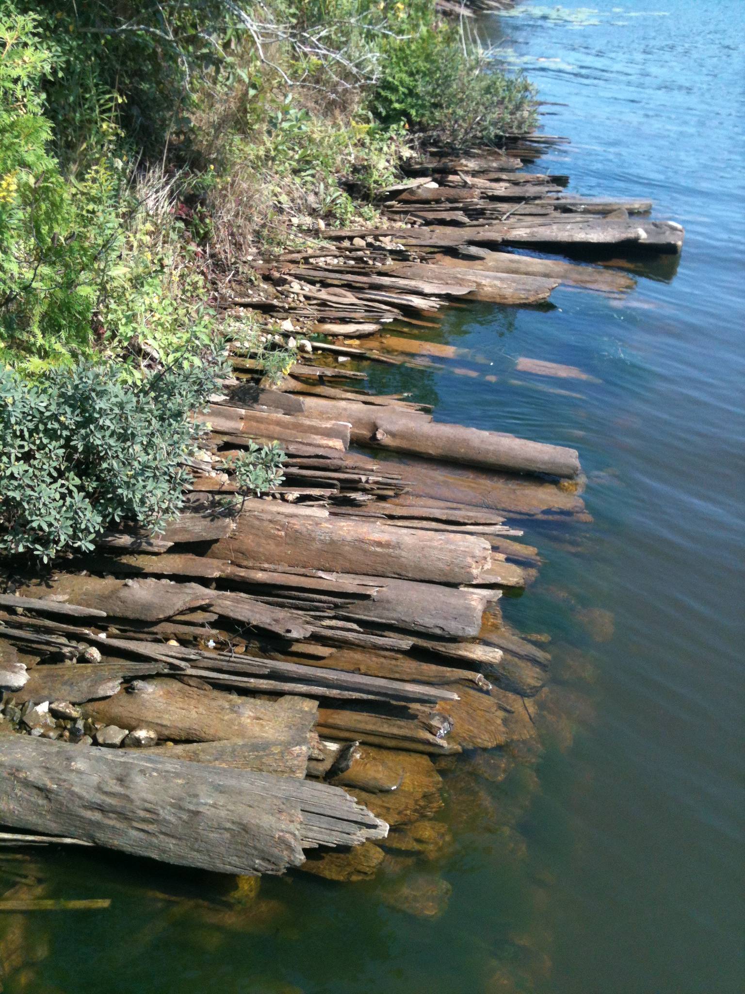 Photo Friday: The Manistique River’s slab wood islands | Great Lakes Echo