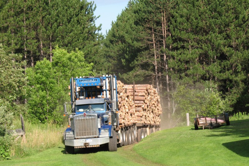 Jobs in timbering wood products go begging Great Lakes Echo