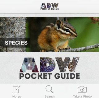 ADW Pocket Guide