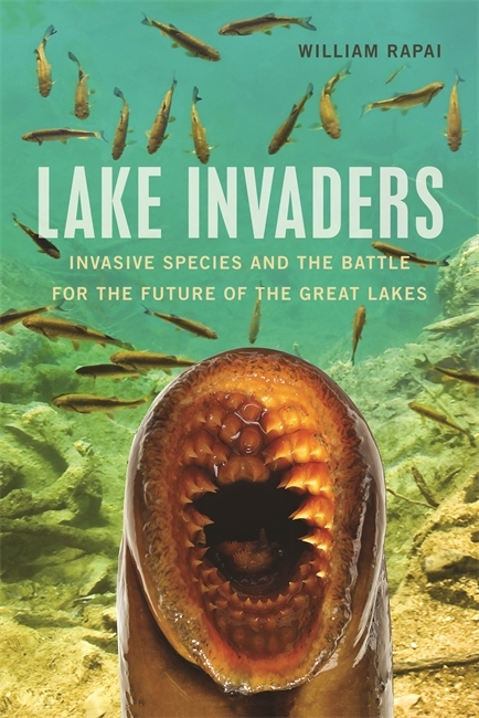 Book Cover, Lake Invaders
