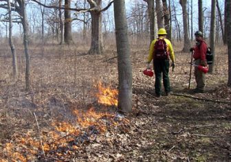 Indiana forestry officials conduct a prescribed burn as part of forest management: Image: Indiana DNR