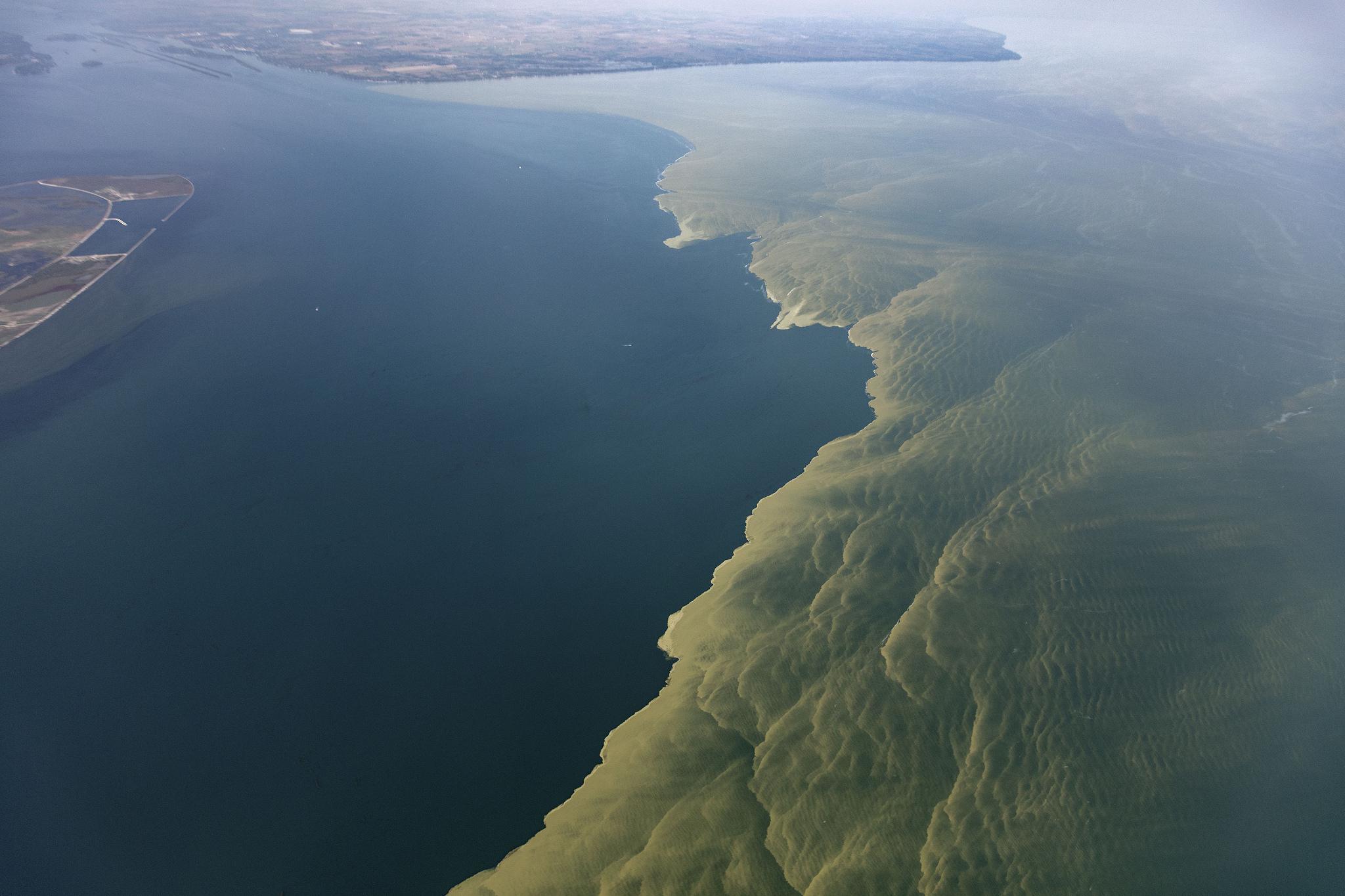 Living with algal blooms How one Michigan town manages its water