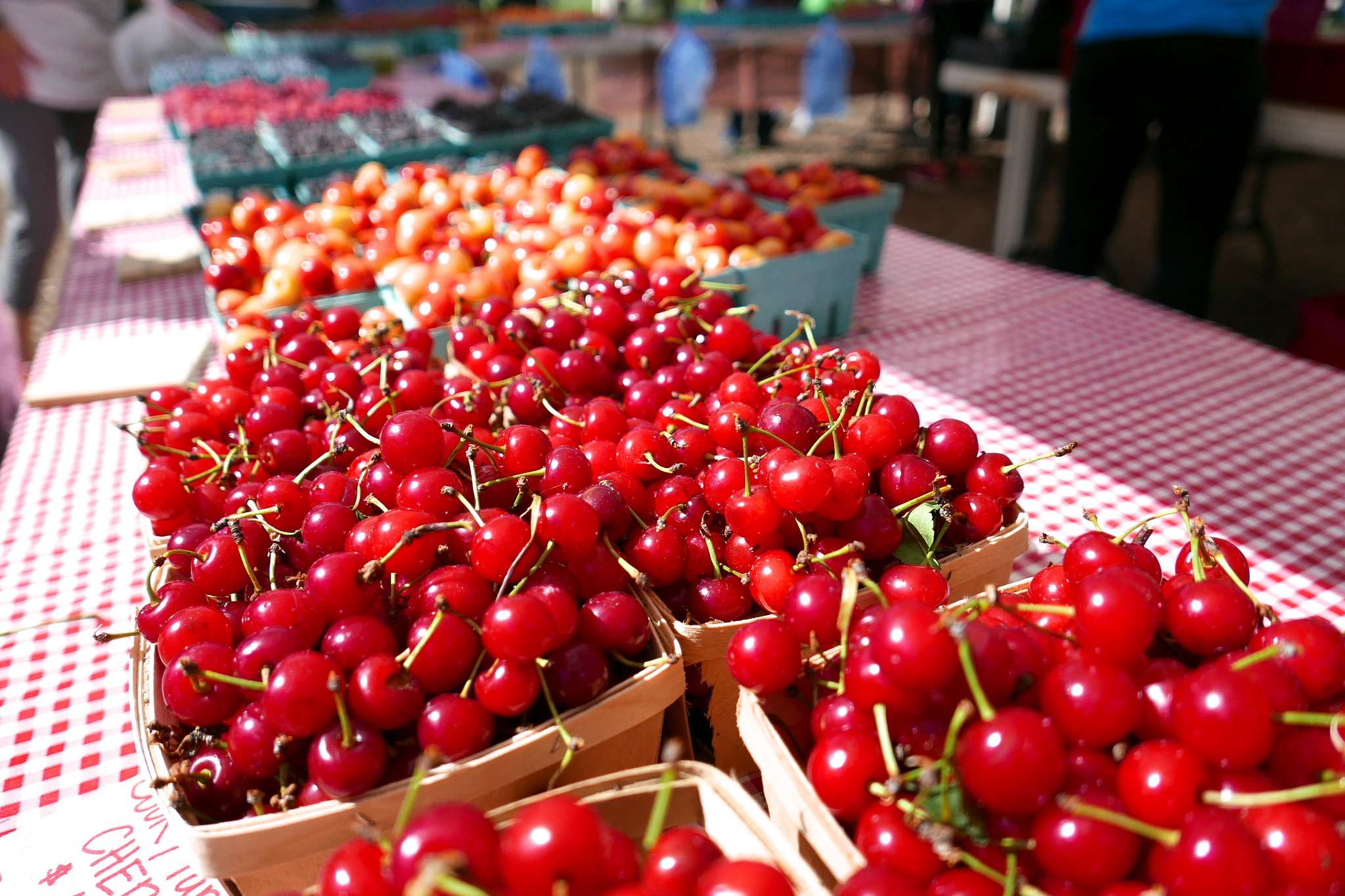 michigan-cherry-growers-happy-to-see-new-tariff-on-turkish-cherries