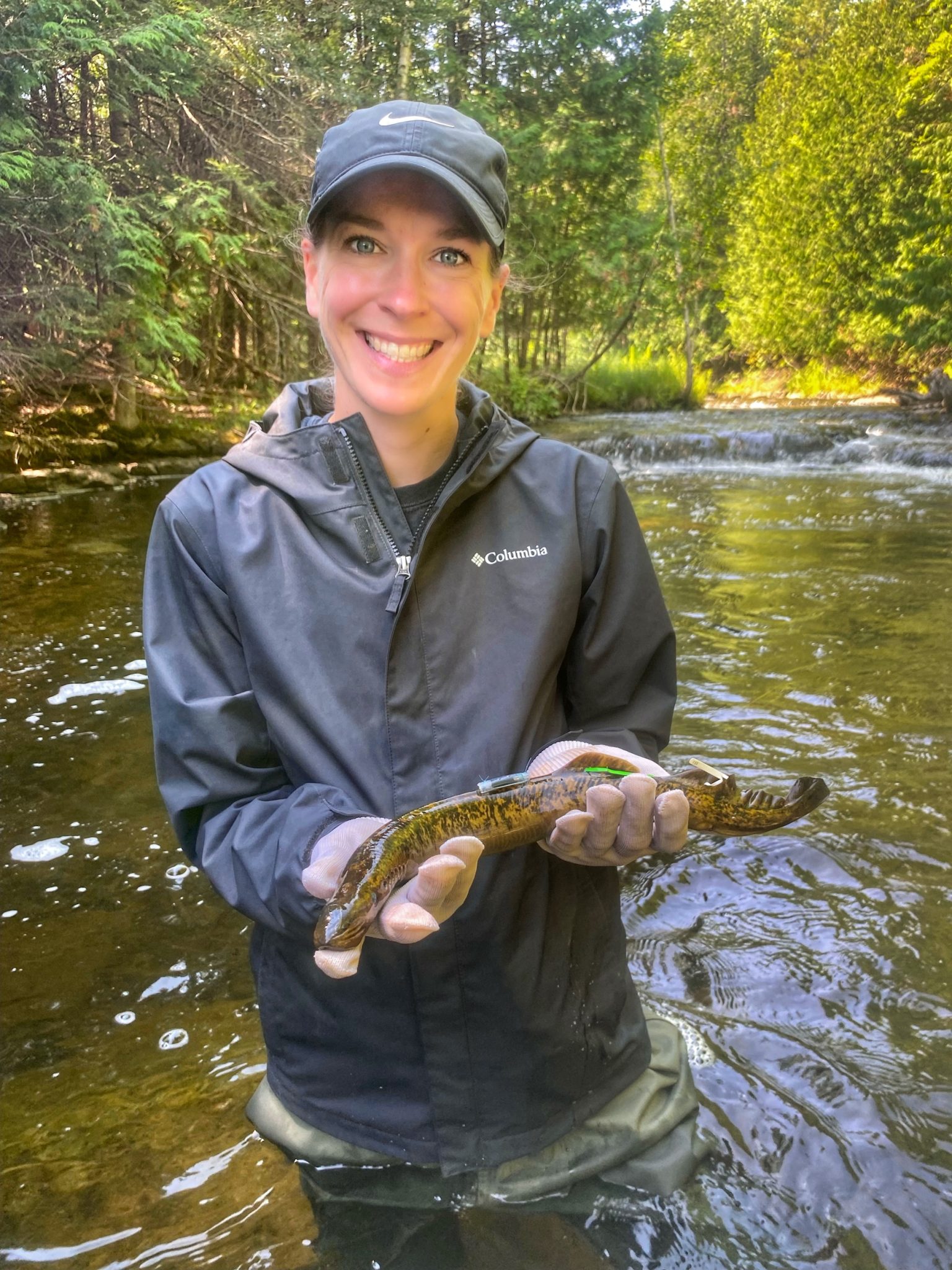 New compound may expand sea lamprey control | Great Lakes Echo