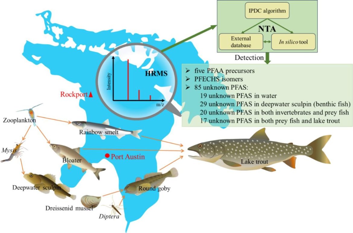 A graphic showing forever chemicals in water sources