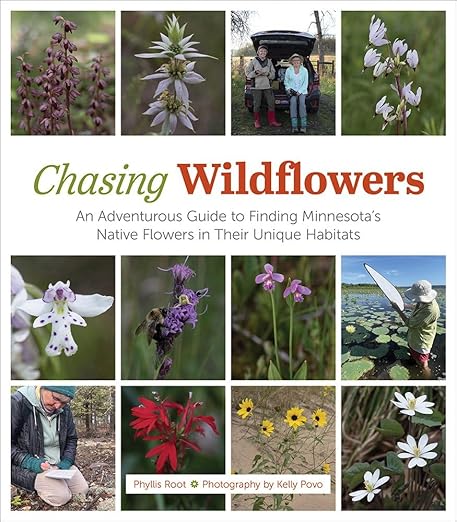 The cover for the "Chasing Wildflowers" book