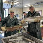 2 men holding up fish in a breeding center