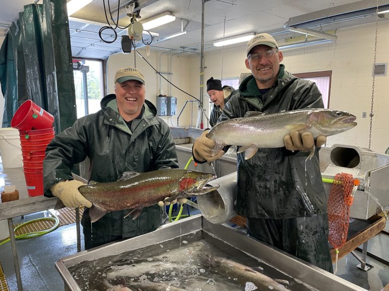 2 men holding up fish in a breeding center
