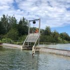 A weir holds in fish at a hatchery at the Platte River
