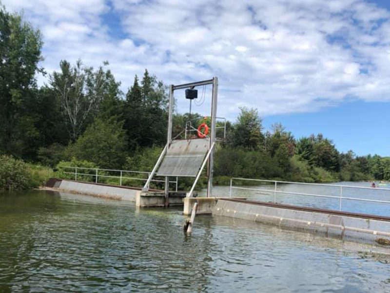 A weir holds in fish at a hatchery at the Platte River