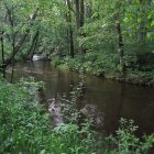 Rabbit River in Southwest Michigan