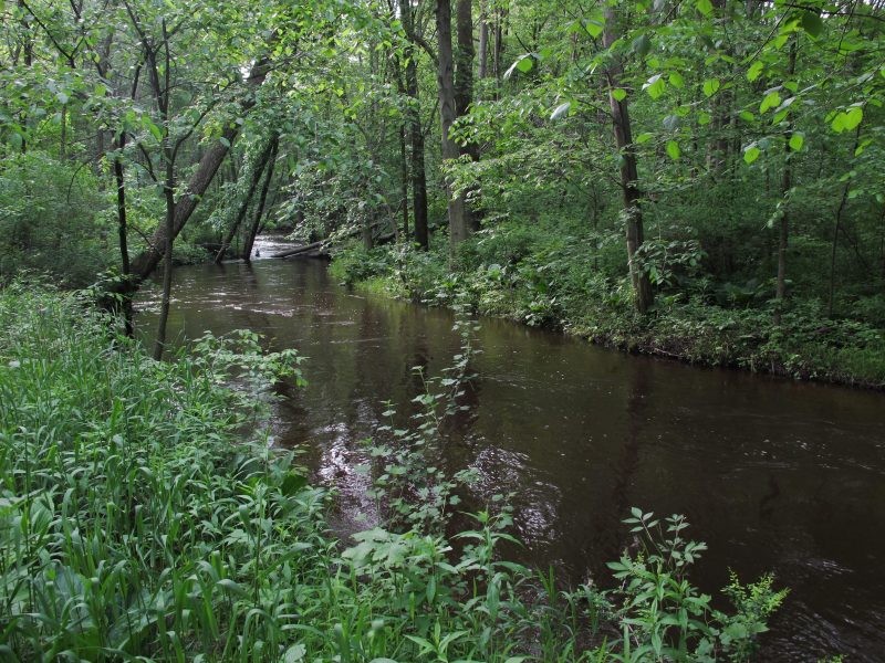 Rabbit River in Southwest Michigan