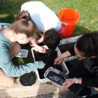 Three high school students looking at pond samples.