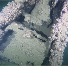 Debris from a launch that sank on Green Bay’s Little Harbor.