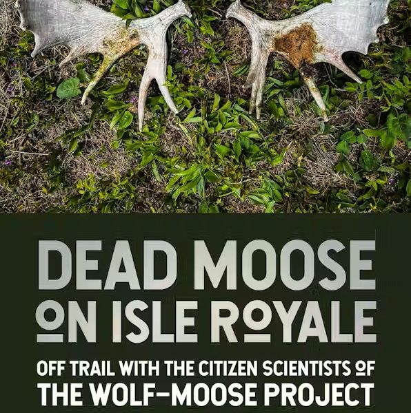 The cover of “Dead Moose on Isle Royale: Off Trail with the Citizen Scientists of the Wolf-Moose Project." The cover is moose antlers on the ground.