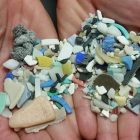 Pieces of microplastic in two outstretched hands.