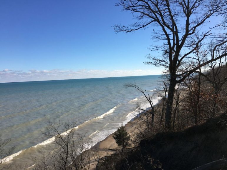 Lake Michigan shoreline, with trees in the foreground.