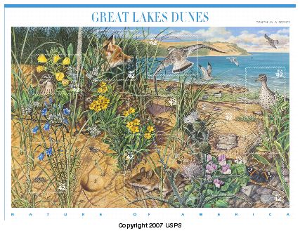 A stamp showcasing dunes and plants on the dunes.