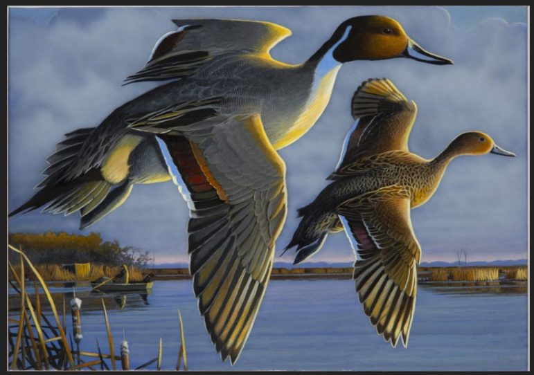 A stamp featuring flying ducks.