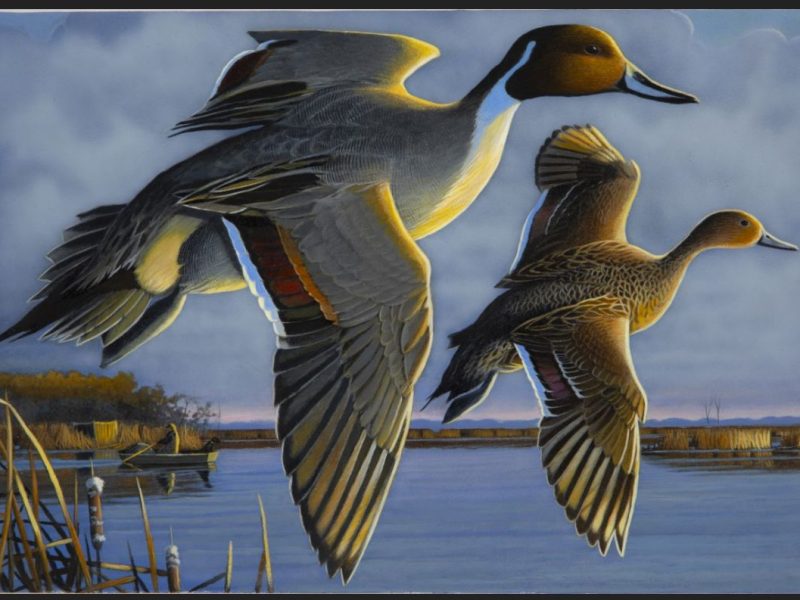 A stamp featuring flying ducks.