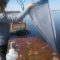 Researchers test for the invasive bloody red shrimp in Duluth-Superior Harbor.